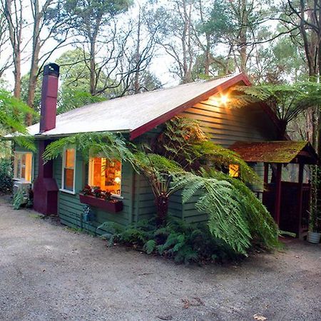 Cottage In The Forest Olinda Room photo